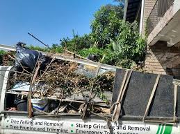 Best Hoarding Cleanup  in Platte City, MO