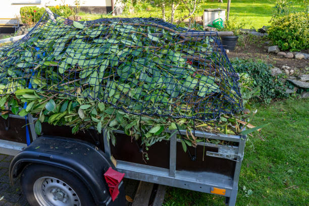 Best Scrap Metal Removal  in Platte City, MO